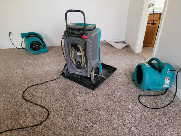 Best 24-hour water damage restoration  in Westville, IN