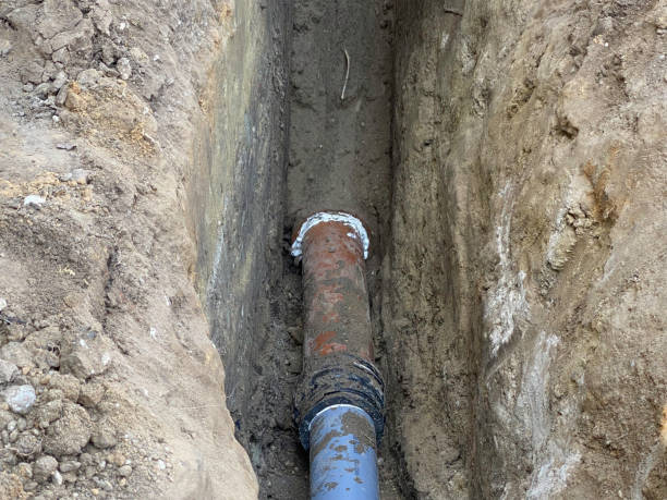 Best 24/7 water damage repair  in Westville, IN
