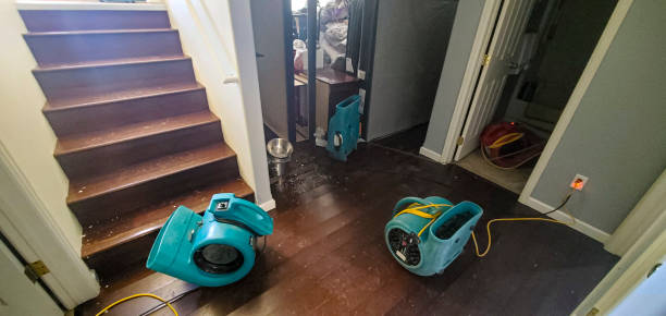 Best Residential water damage restoration  in Westville, IN
