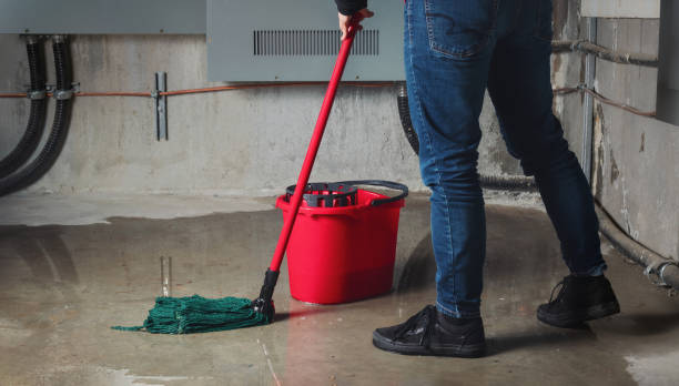 Best Local water damage restoration  in Westville, IN