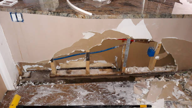 Best Basement water damage restoration  in Westville, IN