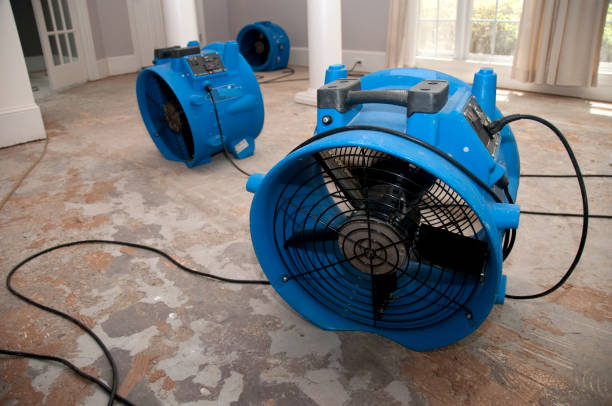 Best Sewage cleanup and water damage restoration  in Westville, IN