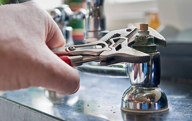 Best Carpet water damage restoration  in Westville, IN