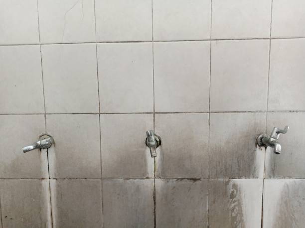 Best 24/7 water damage repair  in Westville, IN