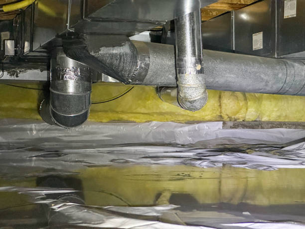 Best Water damage restoration near me  in Westville, IN