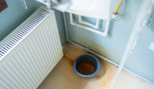 Best Flooded house restoration  in Westville, IN