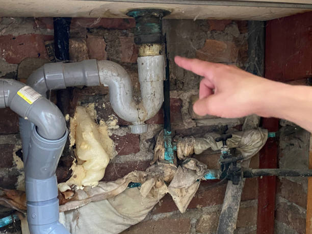 Best Flood damage cleanup  in Westville, IN