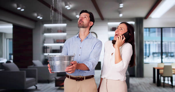 Best Ceiling water damage repair  in Westville, IN