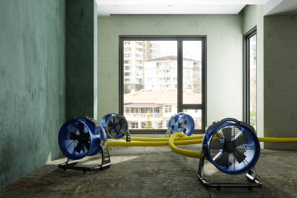 Best Commercial water damage restoration  in Westville, IN
