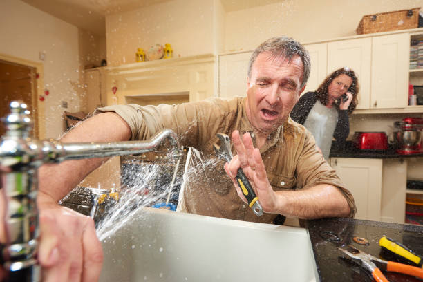 Best Water damage cleanup near me  in Westville, IN